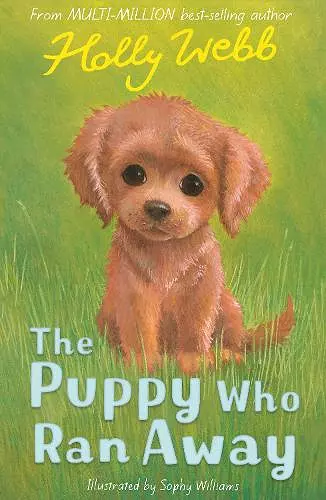 The Puppy Who Ran Away cover