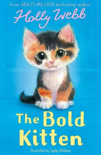 The Bold Kitten cover