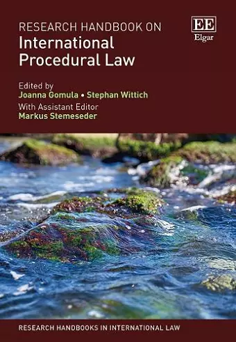 Research Handbook on International Procedural Law cover