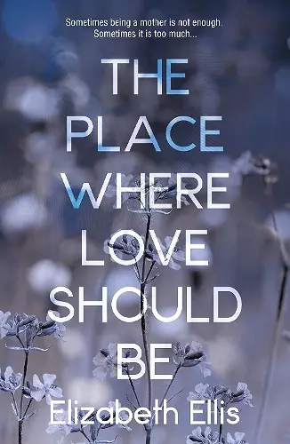 The Place Where Love Should Be cover