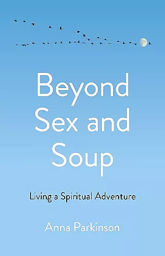 Beyond Sex and Soup cover