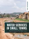 Water Services in Small Towns cover