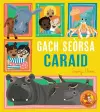 Gach Seòrsa Caraid cover