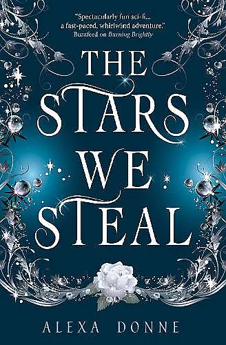 The Stars We Steal cover