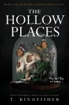 The Hollow Places cover