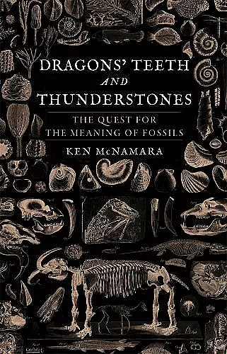Dragons' Teeth and Thunderstones cover