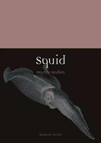 Squid cover