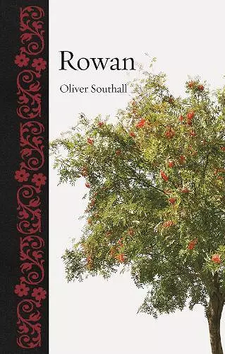 Rowan cover