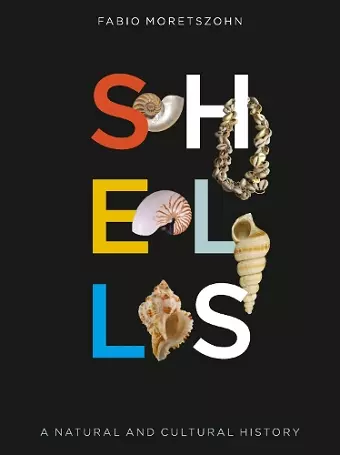 Shells cover