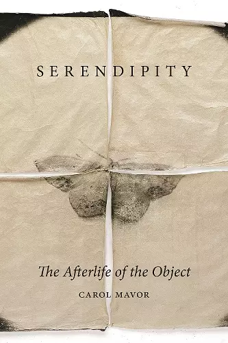 Serendipity cover