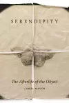 Serendipity cover