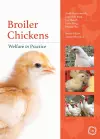 Broiler Chickens Welfare in Practice cover