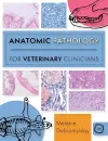 Anatomic Pathology for Veterinary Clinicians cover