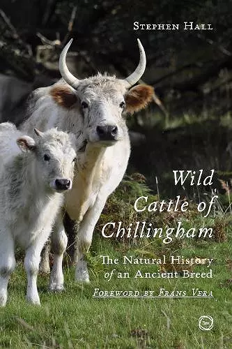 Wild Cattle of Chillingham cover