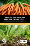 Carrots and Related Apiaceae Crops cover