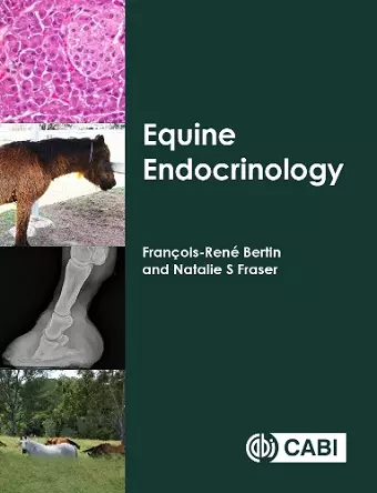 Equine Endocrinology cover