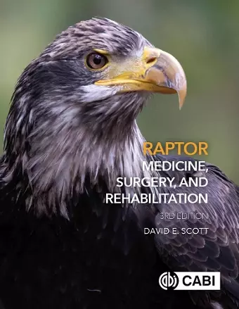 Raptor Medicine, Surgery, and Rehabilitation cover