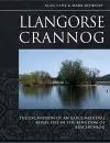 Llangorse Crannog cover