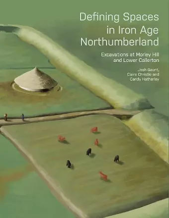 Defining Spaces in Iron Age Northumberland cover