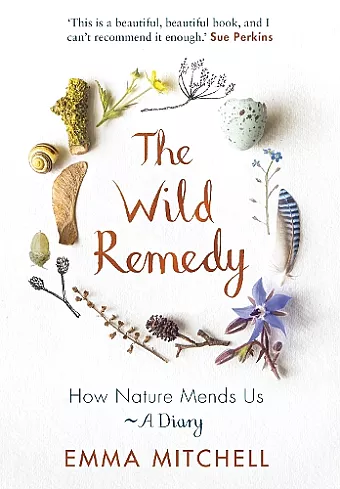 The Wild Remedy cover