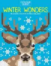 Colour Quest®: Winter Wonders cover