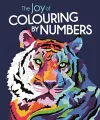 The Joy of Colouring by Numbers cover