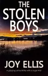 The Stolen Boys cover