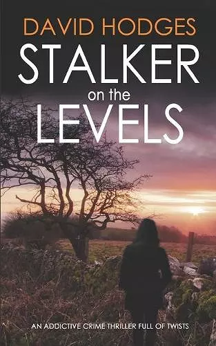 STALKER ON THE LEVELS an addictive crime thriller full of twists cover