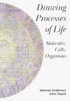 Drawing Processes of Life cover