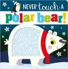 Never Touch a Polar Bear cover