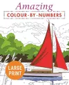 Amazing Colour-by-Numbers Large Print cover