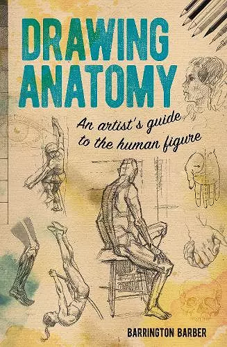 Drawing Anatomy cover