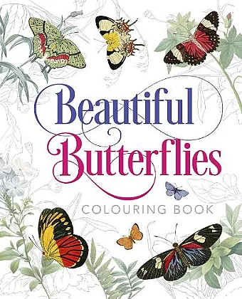 Beautiful Butterflies Colouring Book cover