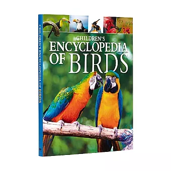Children's Encyclopedia of Birds cover