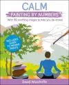 Calm Painting by Numbers cover
