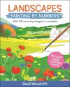 Landscapes Painting by Numbers cover
