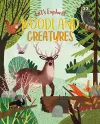 Let's Explore! Woodland Creatures cover