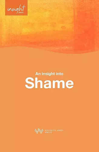 Insight into Shame cover