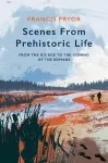 Scenes from Prehistoric Life cover