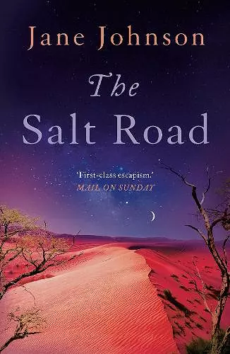 The Salt Road cover