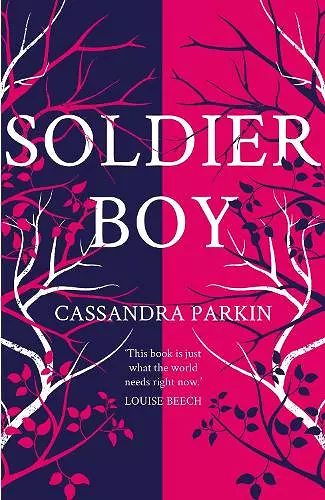 Soldier Boy cover