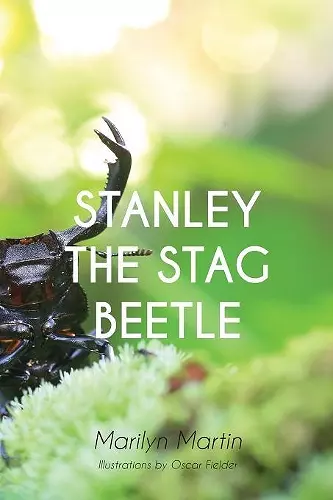 Stanley the Stag Beetle cover