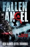 Fallen Angel cover