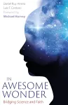 In Awesome Wonder cover