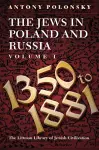 The Jews in Poland and Russia cover
