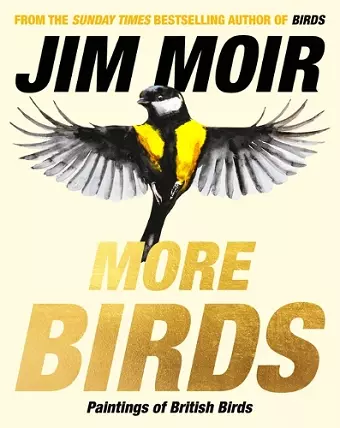 More Birds cover