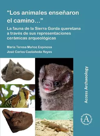 “Los animales enseñaron el camino…”: La fauna de la Sierra Gorda queretana a través de sus representaciones cerámicas arqueológicas cover