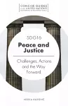 SDG16 - Peace and Justice cover