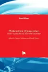 Multicriteria Optimization cover