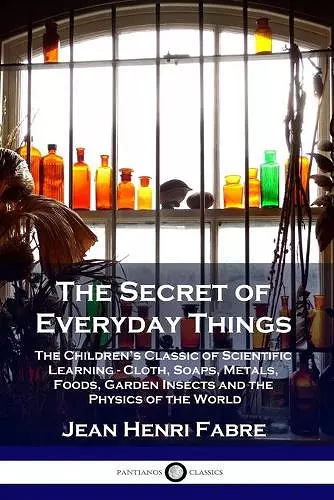 The Secret of Everyday Things cover